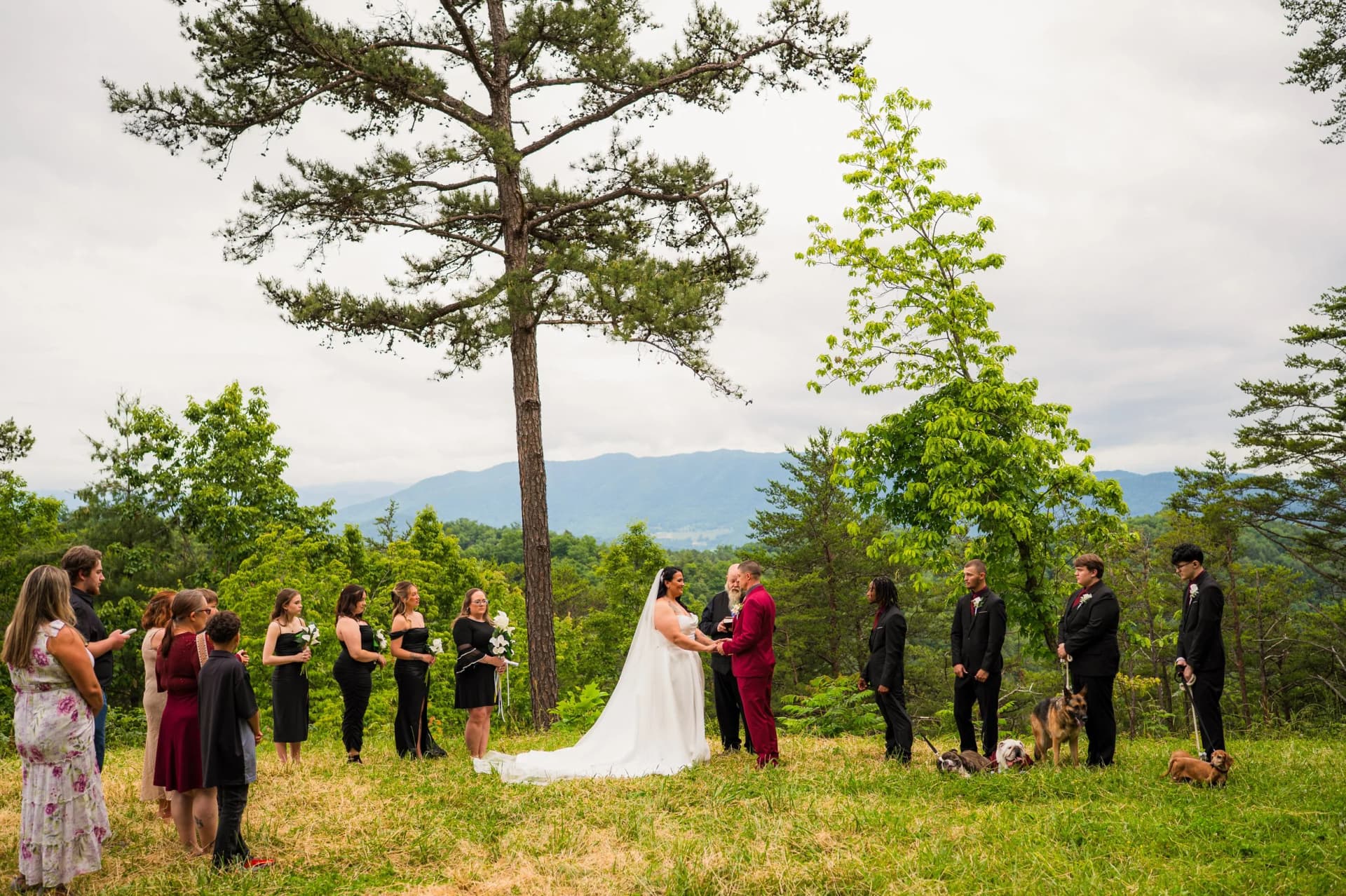 Foothills Parkway elopement photo 53
