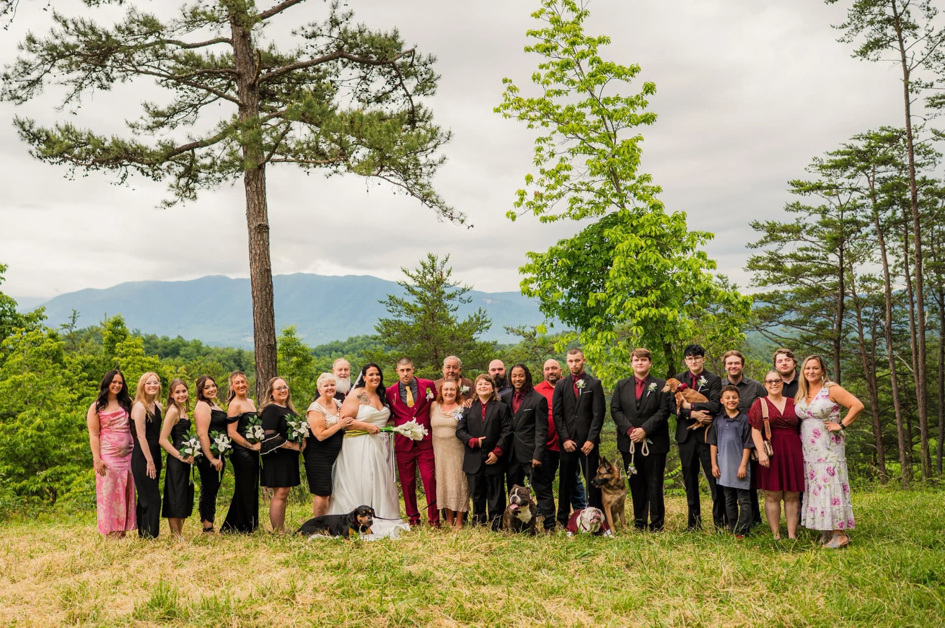 Foothills Parkway elopement photo 36
