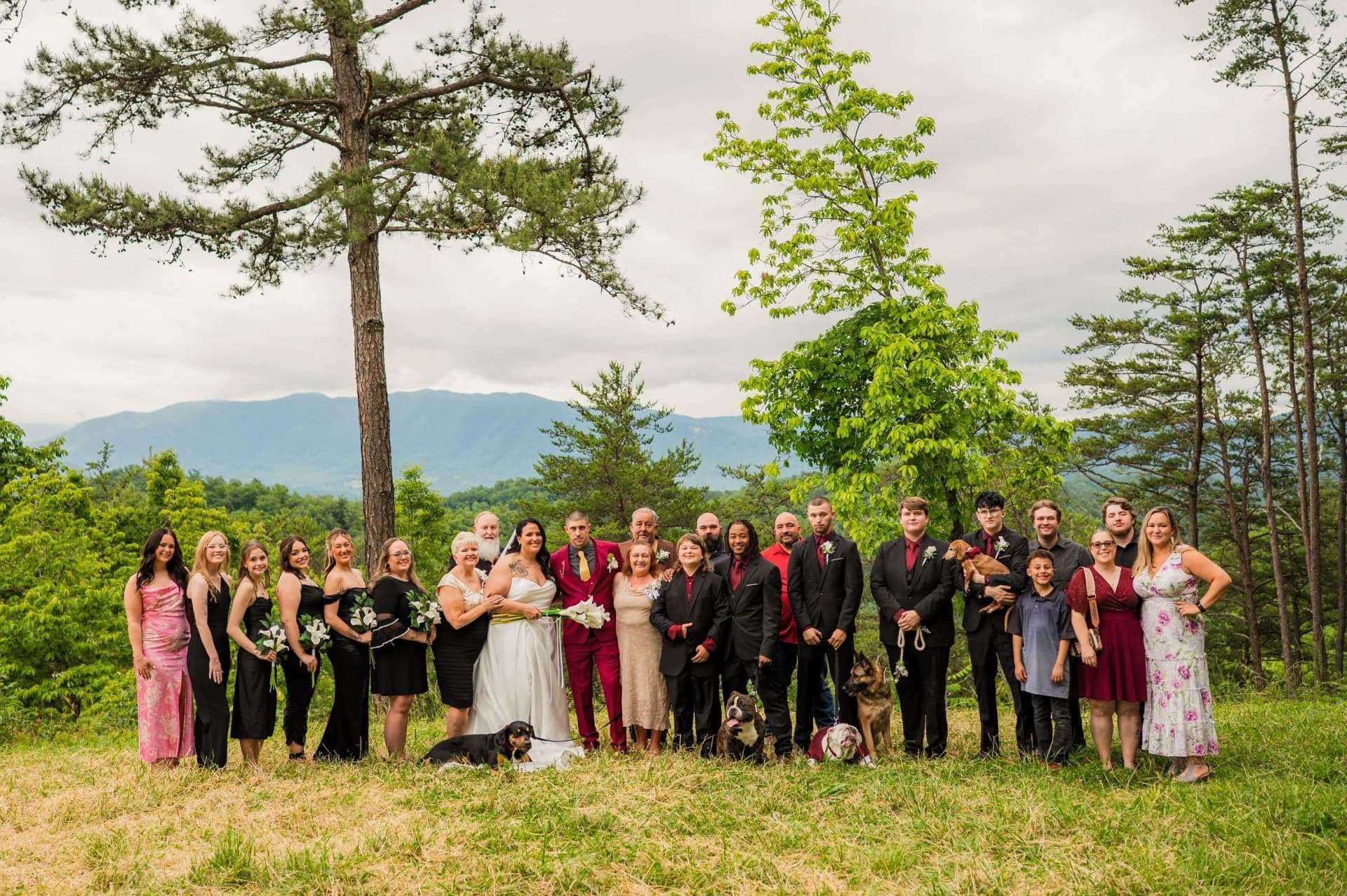 Foothills Parkway elopement photo 20