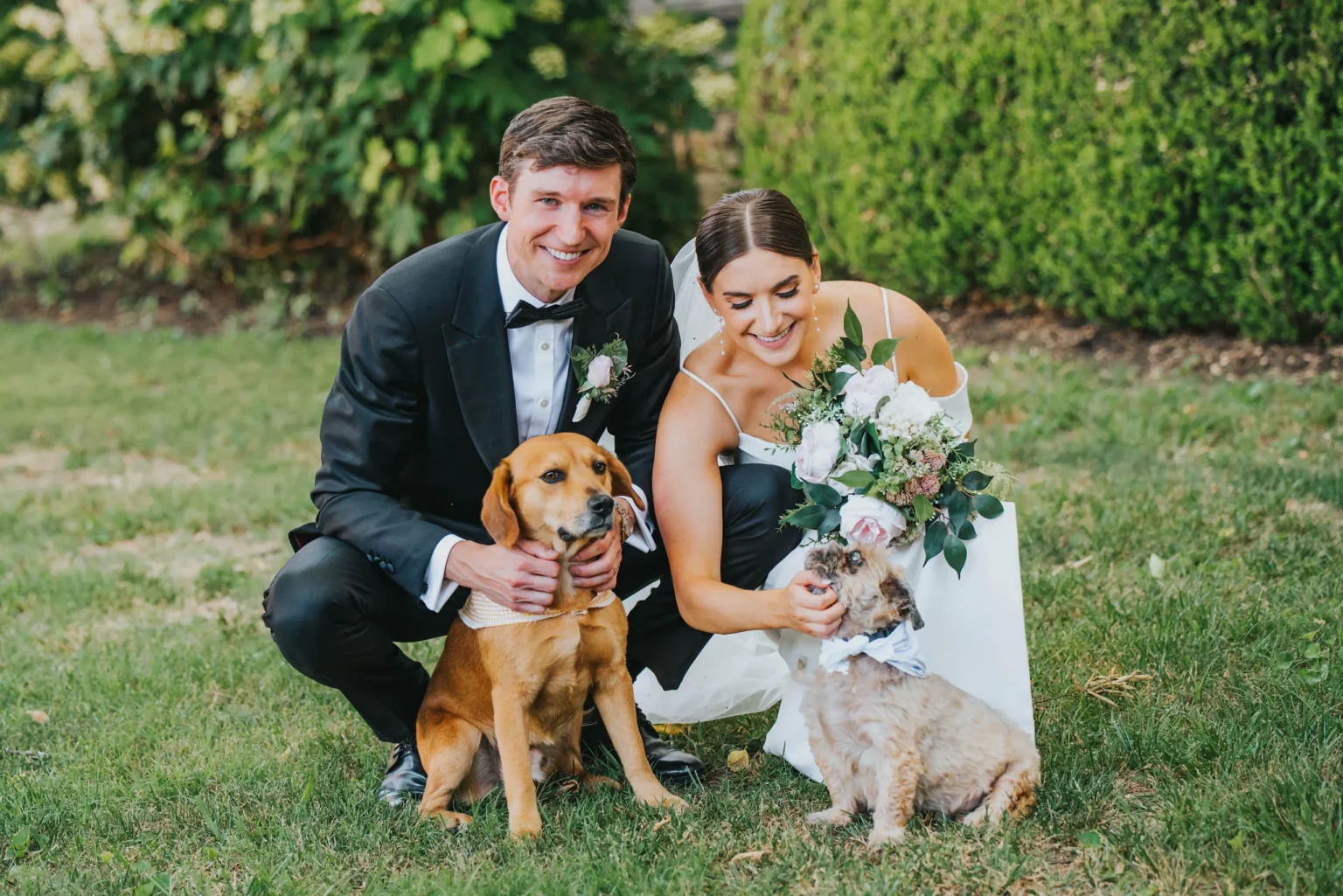 Elopement Wedding A bride and groom in wedding attire are kneeling on grass, smiling. The groom holds a brown dog, while the bride, holding a bouquet of flowers, pets a small, fluffy dog. Green bushes and tree foliage are visible in the background. Elopements Inc