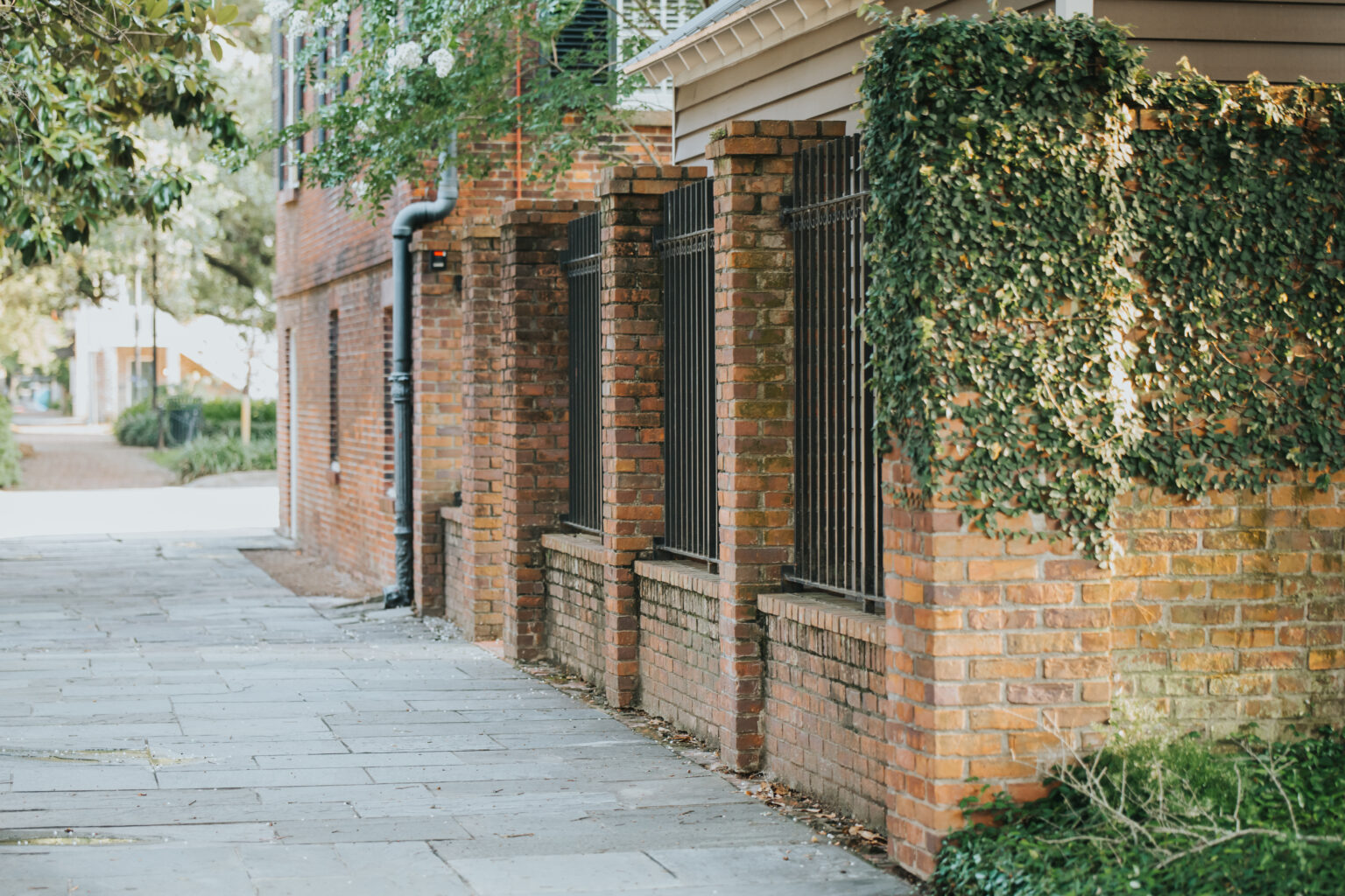 Elopement Wedding A serene streetscape features a brick building adorned with lush green ivy. Iron bars protect the windows, and a neatly paved sidewalk runs alongside. Trees and a distant building are visible in the background, offering an idyllic spot for an elopement in this peaceful urban setting. Elopements Inc