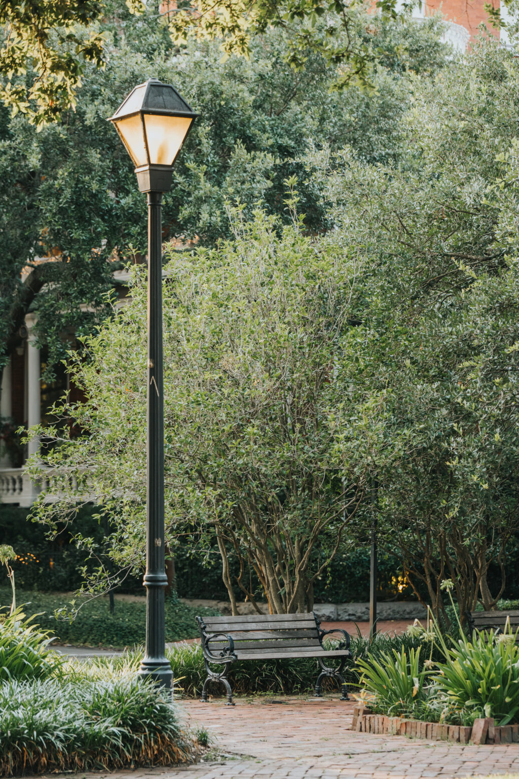 Elopement Wedding A serene park scene featuring a lit street lamp, a wooden bench, and lush greenery sets the perfect backdrop for an intimate elopement. The brick pathway is flanked by various plants and trees, while a large building with white columns is partially visible in the background, nestled among the dense foliage. Elopements Inc