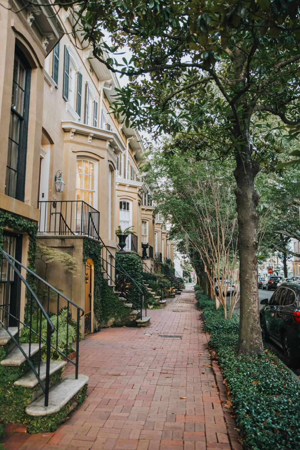 Elopement Wedding A picturesque street lined with elegant, multi-story row houses featuring tall windows, wrought-iron railings, and narrow staircases leading to front doors. The brick sidewalk is bordered by manicured hedges and shaded by leafy trees—a perfect backdrop for an intimate elopement. Parked cars line the street on the right. Elopements Inc