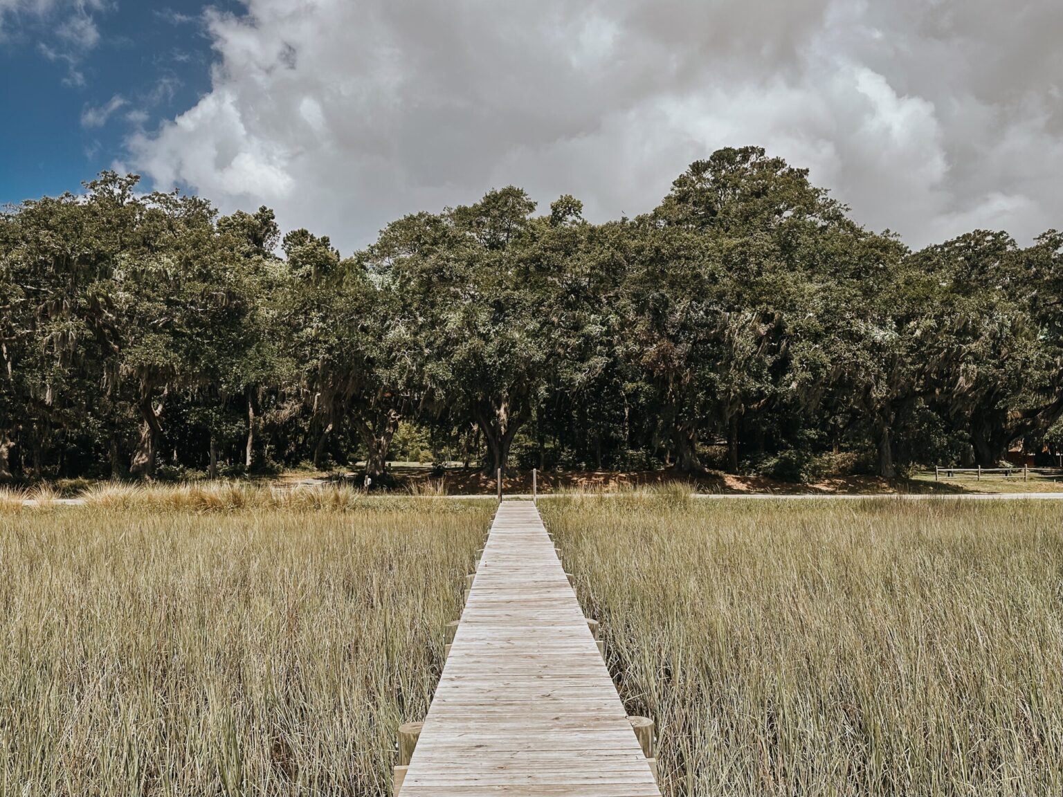 Elopement Wedding A wooden boardwalk stretches through tall, green marsh grass, leading towards a dense forest of trees under a partially cloudy sky. The boardwalk provides a clear path through the marshland towards the thick foliage—a perfect setting for intimate elopements under a sky alternating between blue patches and white clouds. Elopements Inc