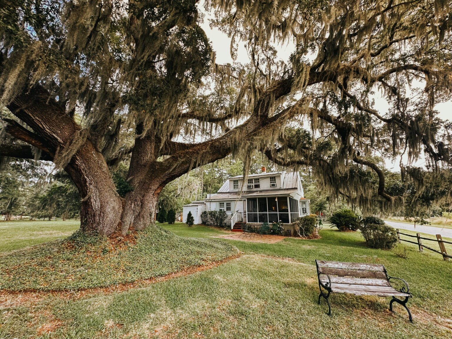 Elopement Wedding A rustic white house with a front porch is nestled beneath the expansive, moss-draped branches of a large oak tree. A wooden bench sits in the grassy yard nearby, and the background reveals a wooden fence and lush greenery, creating a tranquil and picturesque scene perfect for eloping. Elopements Inc