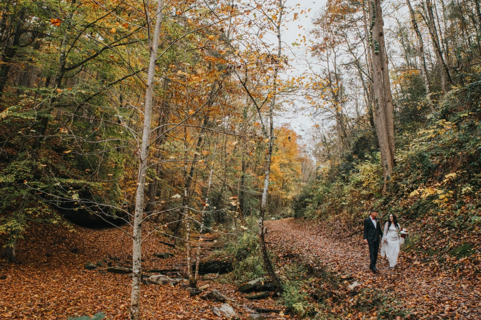 Elopement Wedding A couple in formal attire walks hand-in-hand through a forested path blanketed with fallen leaves. Tall trees with a mix of green and autumn-colored foliage line both sides of the path. The scene is serene and picturesque, exuding a sense of romance and natural beauty. Elopements Inc