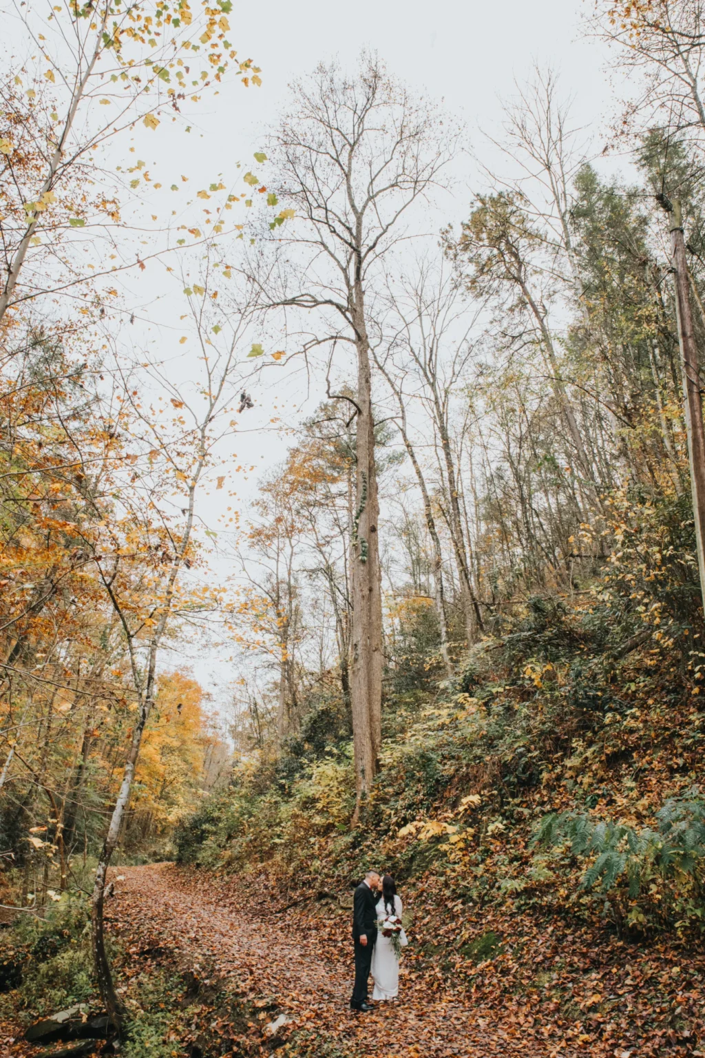 Elopement Wedding A couple, dressed in a black suit and a white wedding dress, stands close together on a path covered in fallen leaves. Tall trees with autumn foliage surround them, and the sky overhead is pale, suggesting an overcast day. The scene is serene, capturing the beauty of nature and a loving moment. Elopements Inc