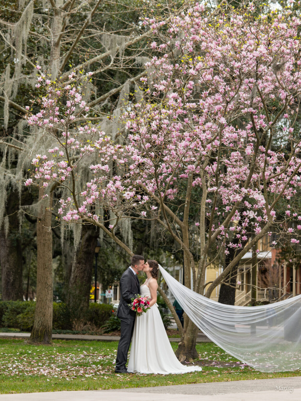 Elopement Wedding A bride and groom share a kiss under a blooming pink magnolia tree. The bride's veil is gently blown to the side, and she holds a bouquet of pink and white flowers. The groom is in a gray suit. The background features lush greenery and trees draped with Spanish moss. Elopements Inc