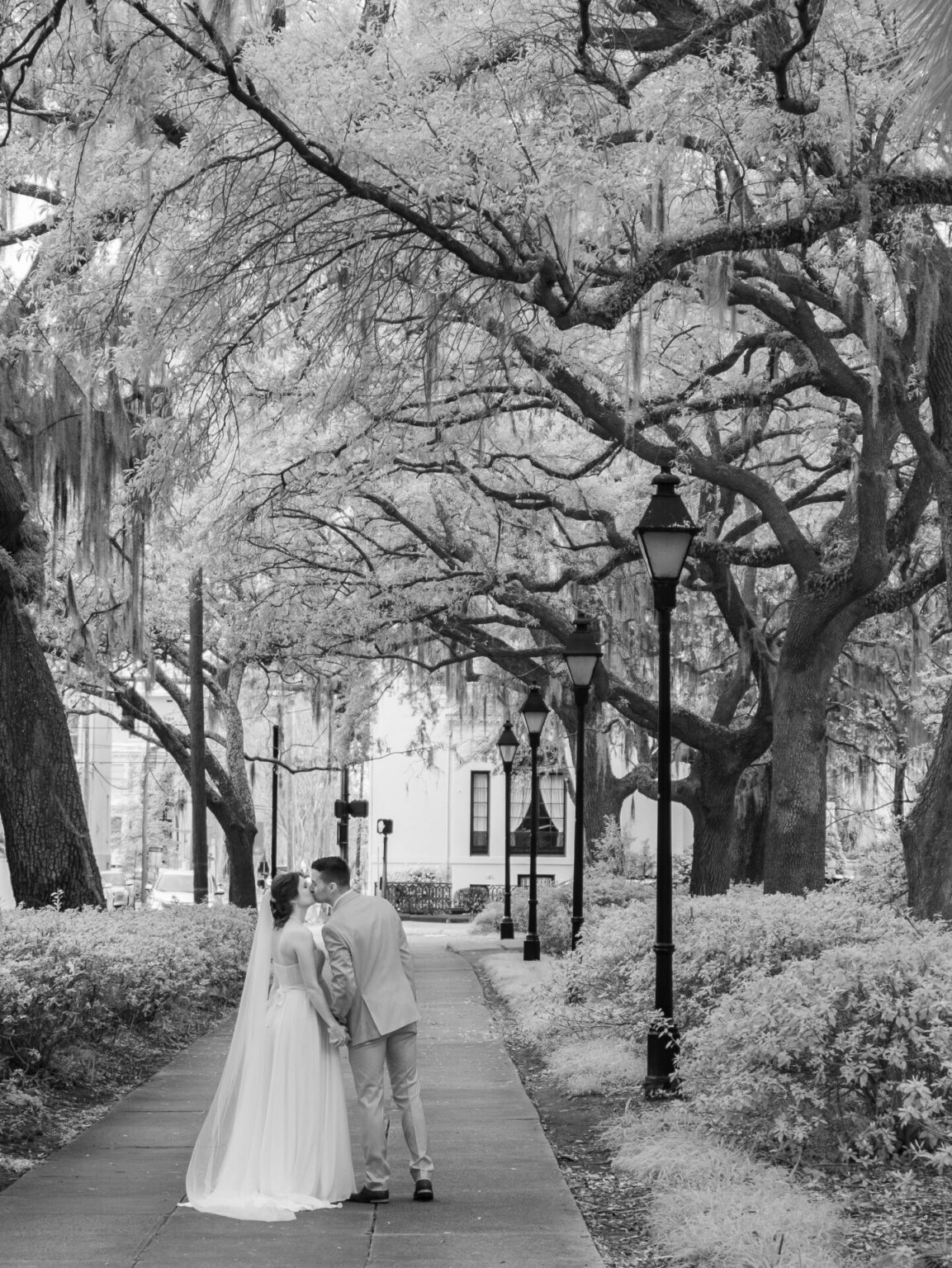 Elopement Wedding A bride and groom stand on a path under towering trees draped with moss, sharing a kiss. The bride wears a flowing gown and veil, and the groom is in a light-colored suit. The scene is serene, with vintage street lamps lining the path and leafy shrubbery along the sides. Elopements Inc